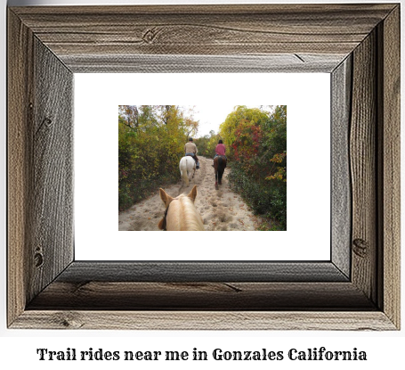 trail rides near me in Gonzales, California